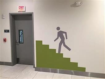 A collection of branded wayfinding signs and wall graphics
