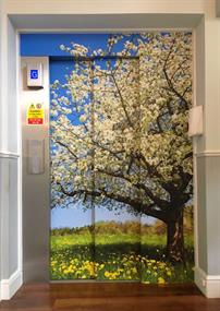 wall and elevator door graphics