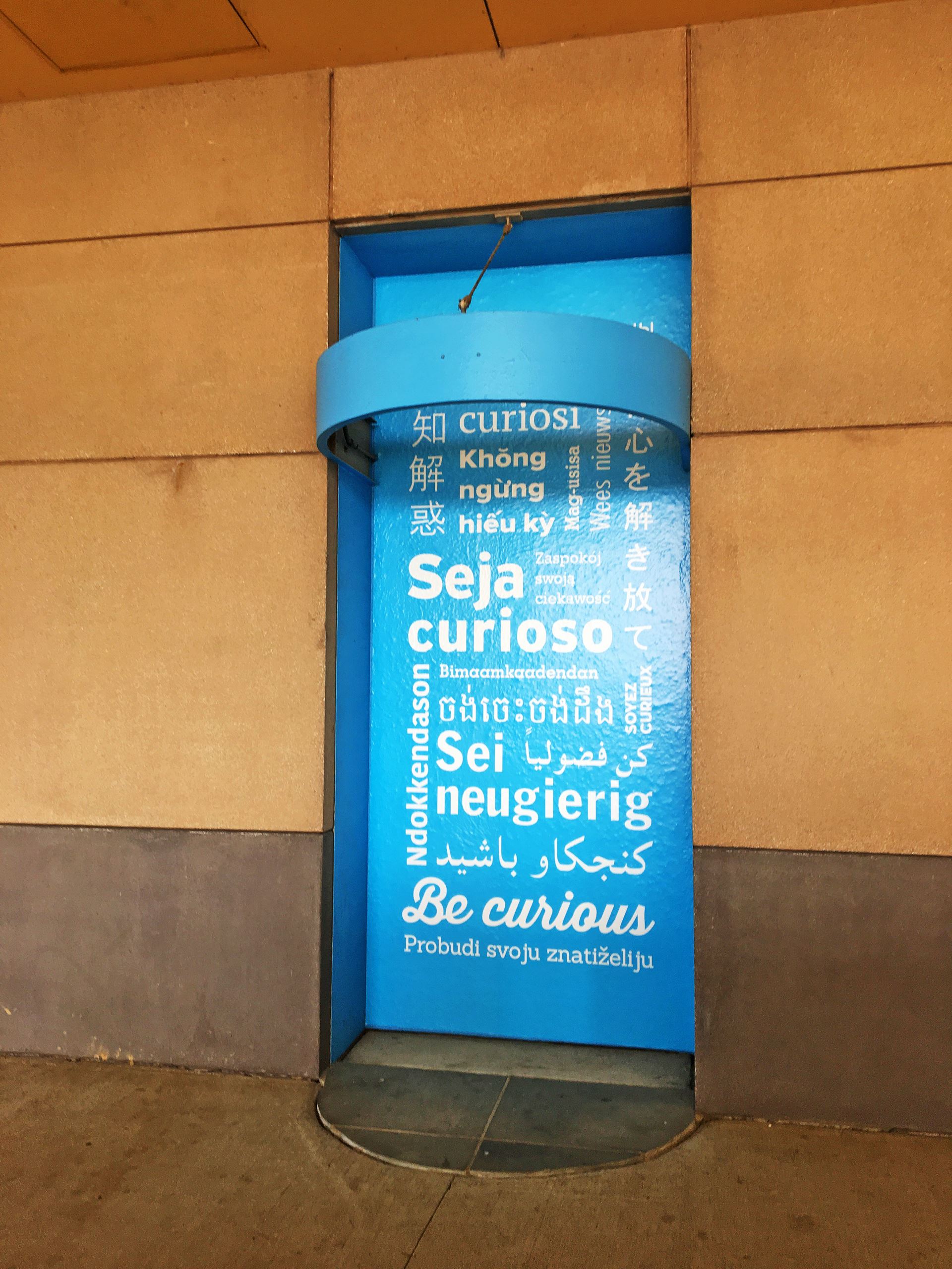 Museum Wall Graphic