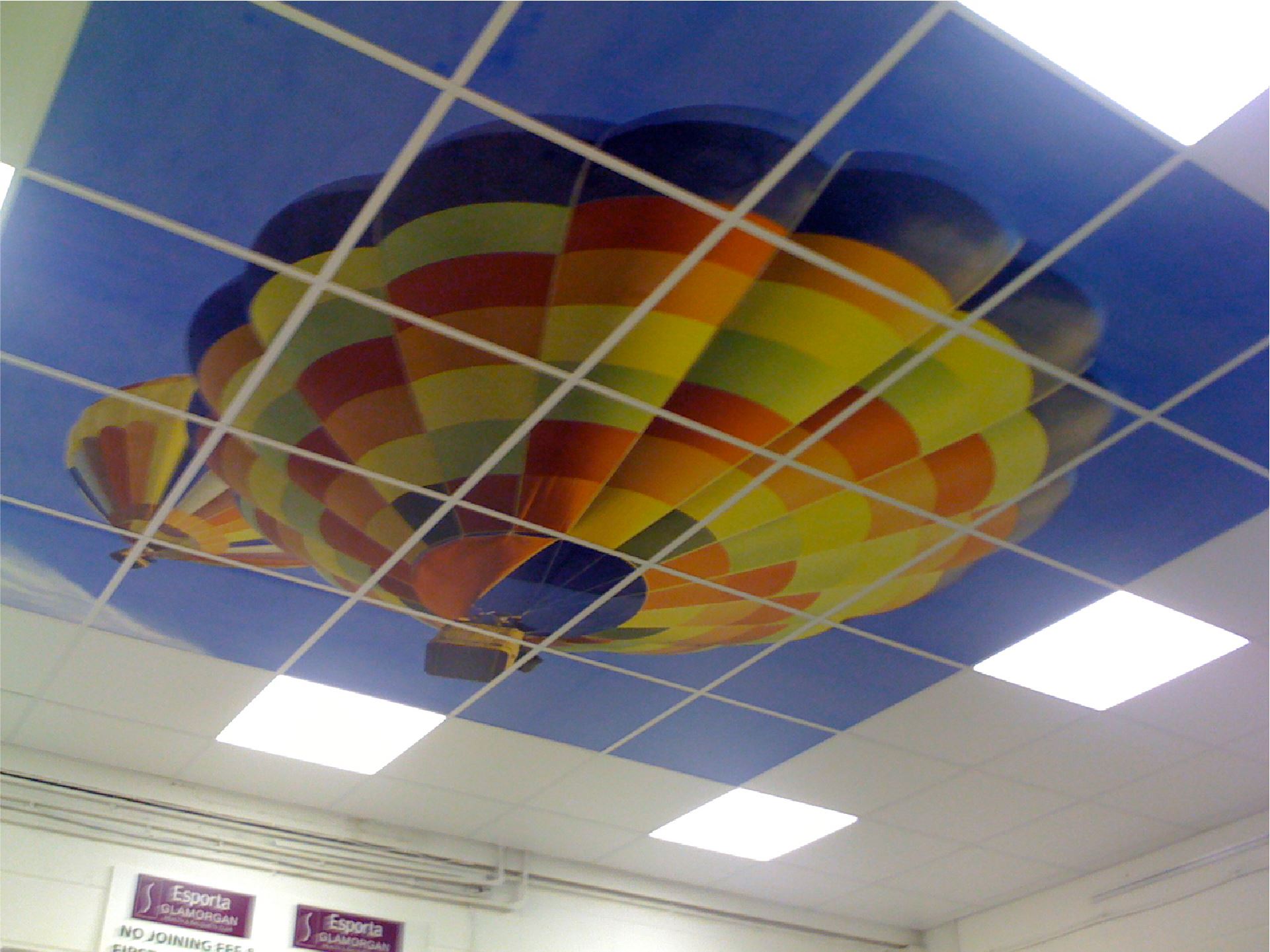 Business Ceiling Tiles
