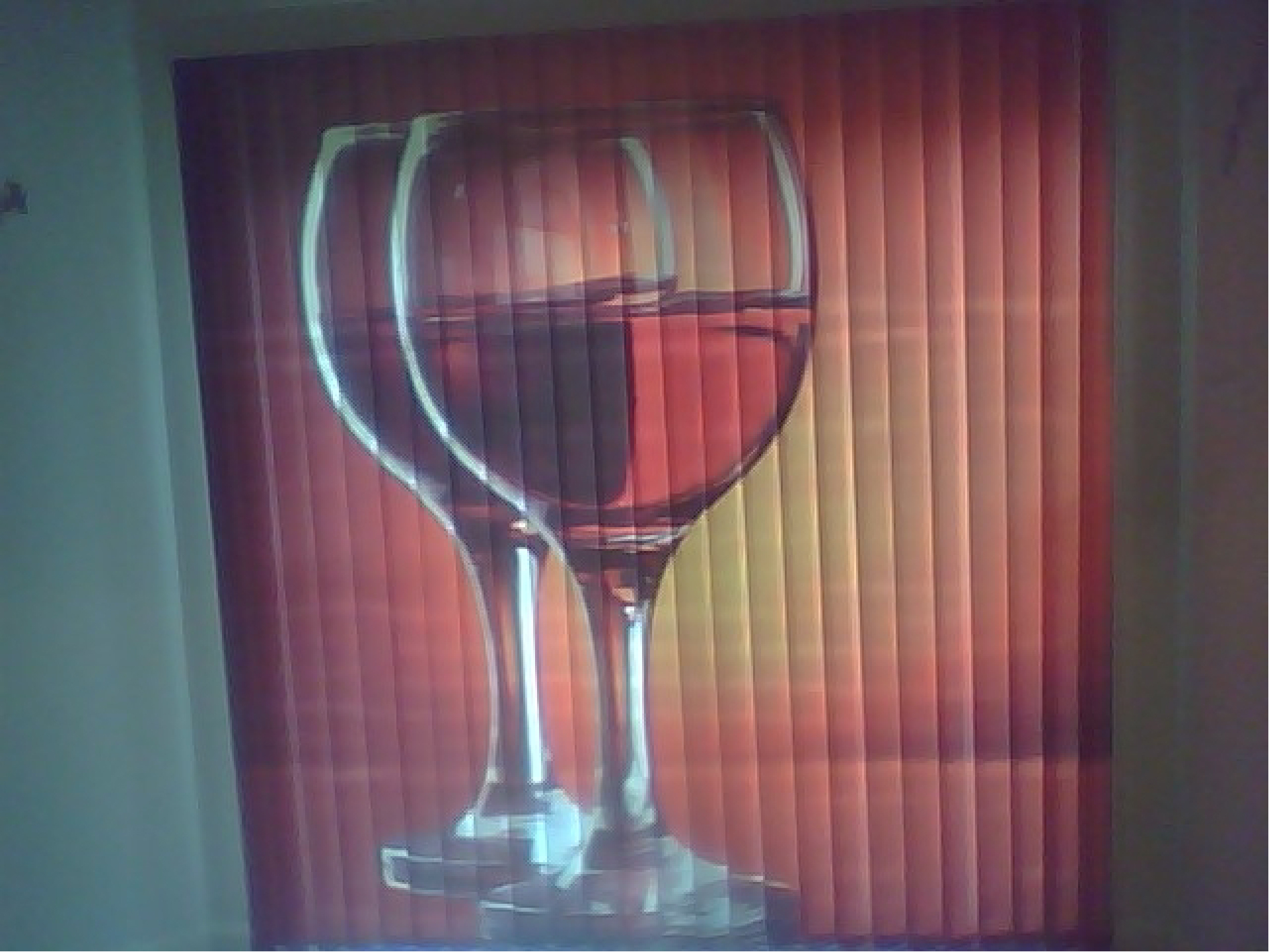 Wine Store Window Shades