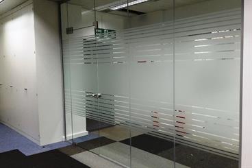 Forsted Vinyl Glass Door and panel