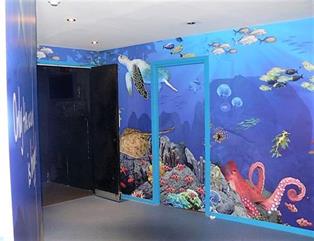 Wall graphics