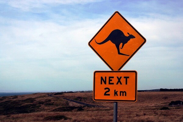 Kangaroo warning sign