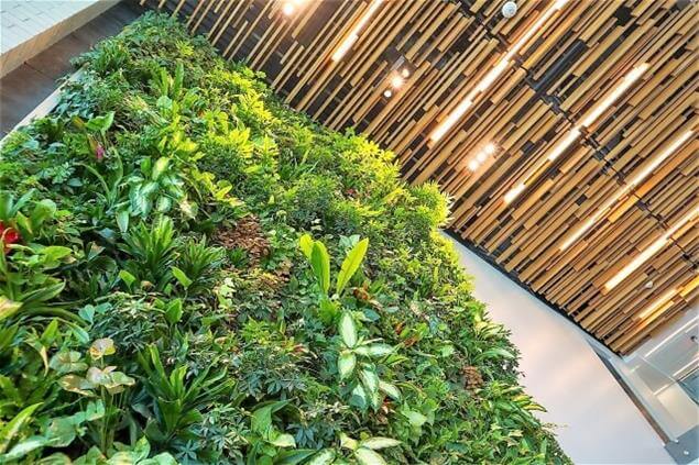 Living wall interior