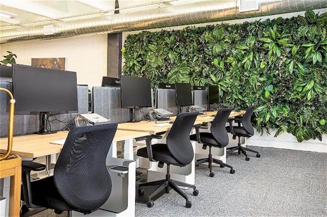 Workspace with indoor wall living plants