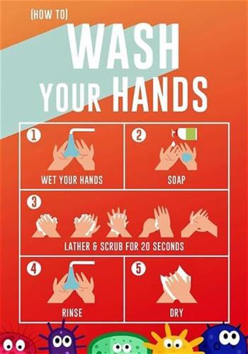 wash your hands