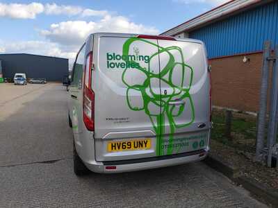 Van with graphics