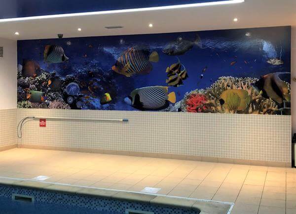 swimming pool wall graphics